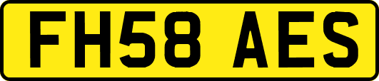 FH58AES