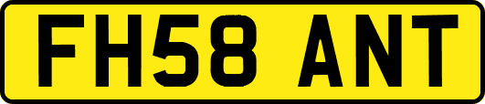 FH58ANT