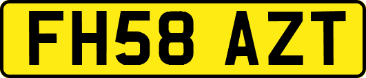FH58AZT