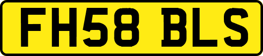 FH58BLS