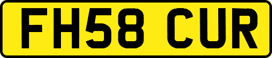 FH58CUR