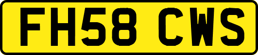 FH58CWS