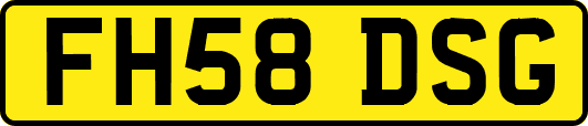 FH58DSG