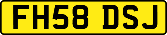 FH58DSJ