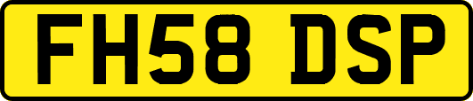 FH58DSP