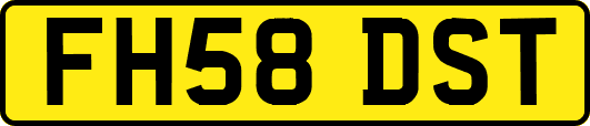 FH58DST
