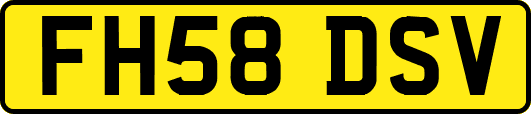 FH58DSV