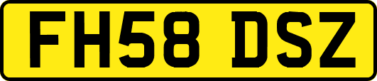 FH58DSZ