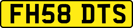 FH58DTS