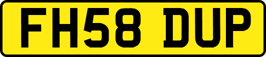 FH58DUP