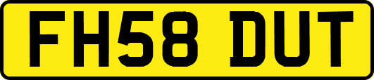 FH58DUT