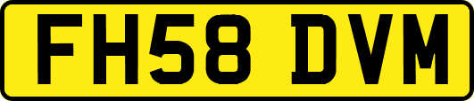 FH58DVM