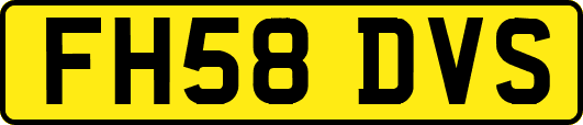 FH58DVS