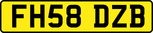 FH58DZB