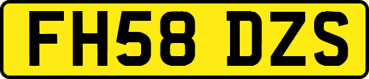 FH58DZS