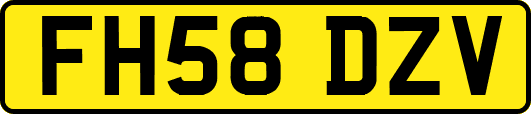 FH58DZV