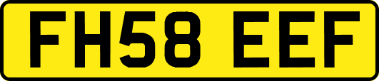FH58EEF