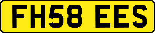 FH58EES