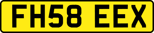 FH58EEX