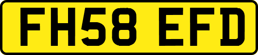 FH58EFD
