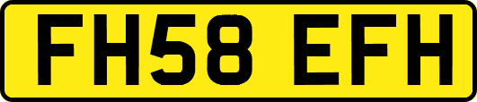 FH58EFH