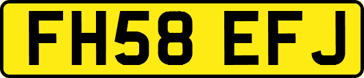 FH58EFJ
