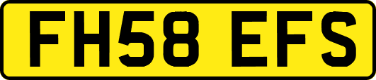 FH58EFS
