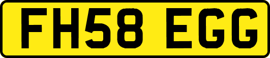 FH58EGG