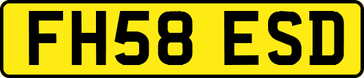 FH58ESD