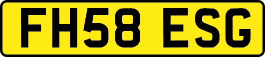 FH58ESG