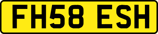 FH58ESH