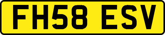 FH58ESV