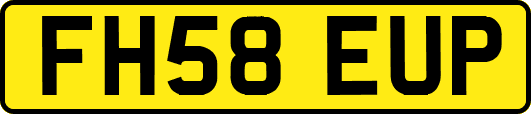FH58EUP