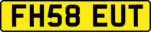 FH58EUT