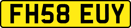 FH58EUY