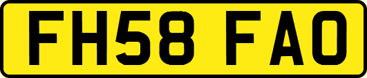 FH58FAO