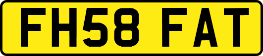 FH58FAT