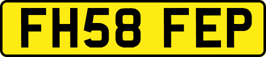 FH58FEP