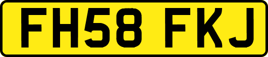 FH58FKJ