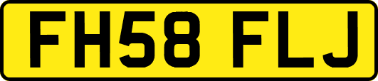 FH58FLJ