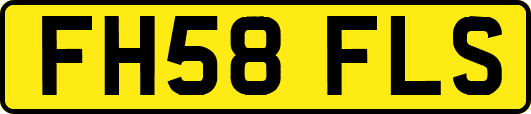 FH58FLS