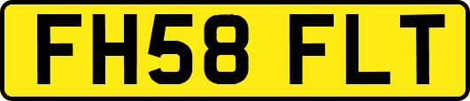 FH58FLT