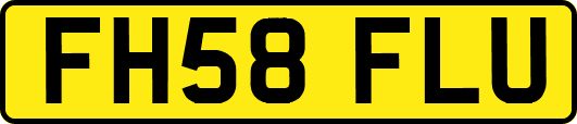 FH58FLU