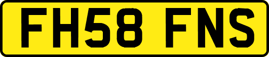 FH58FNS