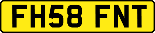 FH58FNT