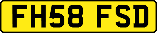 FH58FSD