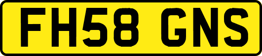 FH58GNS