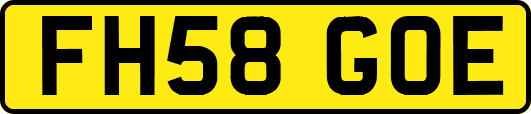 FH58GOE