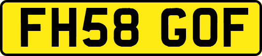 FH58GOF