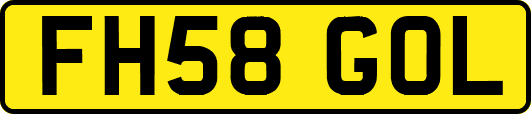FH58GOL